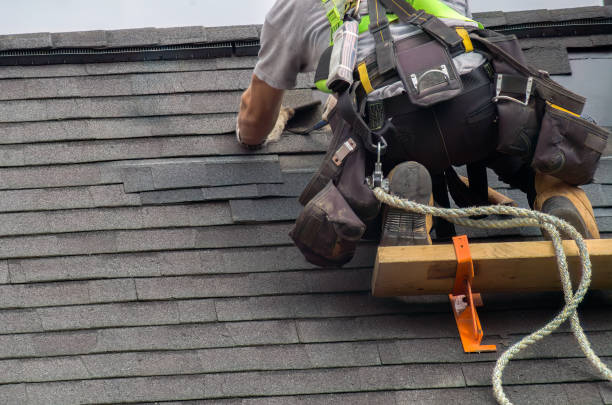 Best Residential Roof Replacement  in Washburn, ND