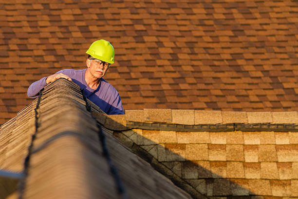 Best Roof Gutter Cleaning  in Washburn, ND