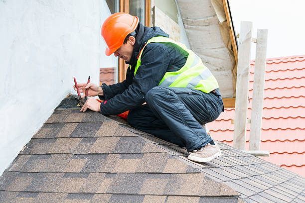 Best Roof Repair Services  in Washburn, ND