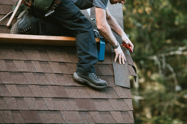 Best Roof Leak Repair  in Washburn, ND